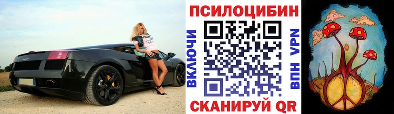 OMG ССЫЛКА  Ржев  Псилоцибиновые грибы прущие грибы  купить  