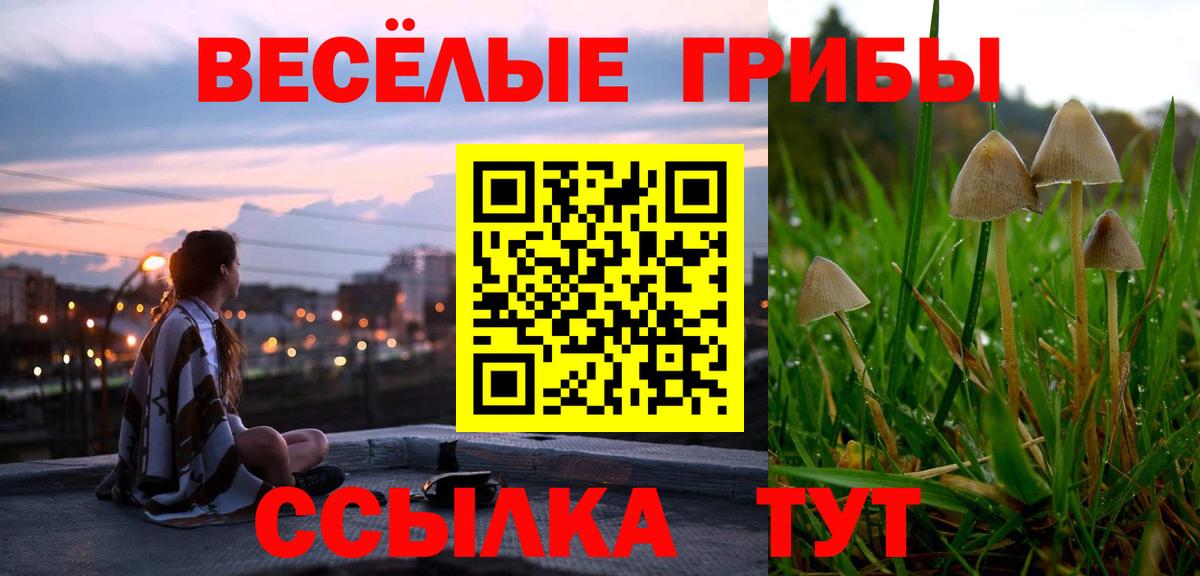 Ржев  Псилоцибиновые грибы Psilocybine cubensis  Вход с VPN  Псилоцибиновые грибы ЛСД 